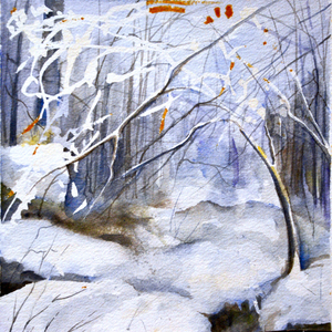 Winter Woods