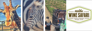 Malibu wine safari s300