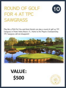 010 tpc sawgrass s300