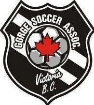 Gorge U17 VIPL Girls Soccer Team