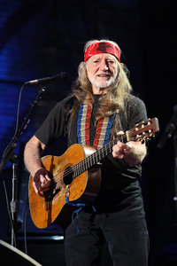 Willie s300