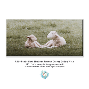 15"x30" Little Lambs Hand-Stetched Premium Canvas