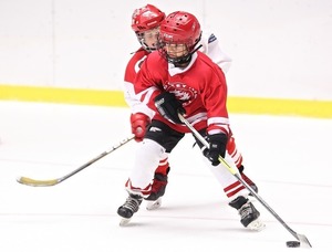 Hockey s300