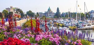 Victoria inner harbour flowers s300