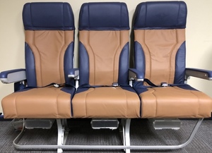 Southwest Plane Seats