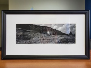 3 print s300