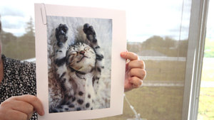 Cat pix 1 s300
