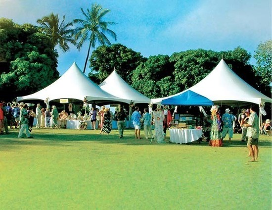 Mich garden party tents s550