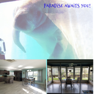 Paradise house s300