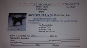 020 The Truman Collar $50 Gift Certificate