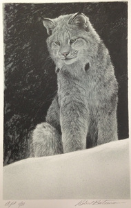 Robert Bateman, OC OBC RCA (1930 - )