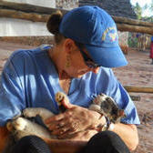 Helping homeless felines pic s300