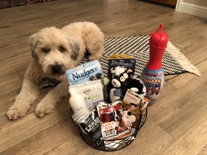 Dog Extravaganza Basket