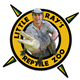 Little Ray's Reptile Zoo Family Membership