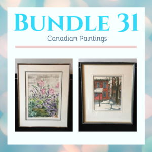 Bundle 31 s300