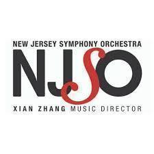 Njso image s300