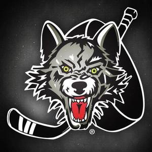 AHL Chicago Wolves Hockey