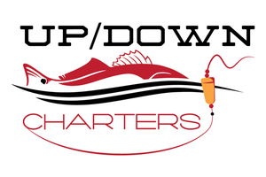 Up down charters s300