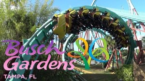 Four Busch Gardens Tampa Bay Tickets