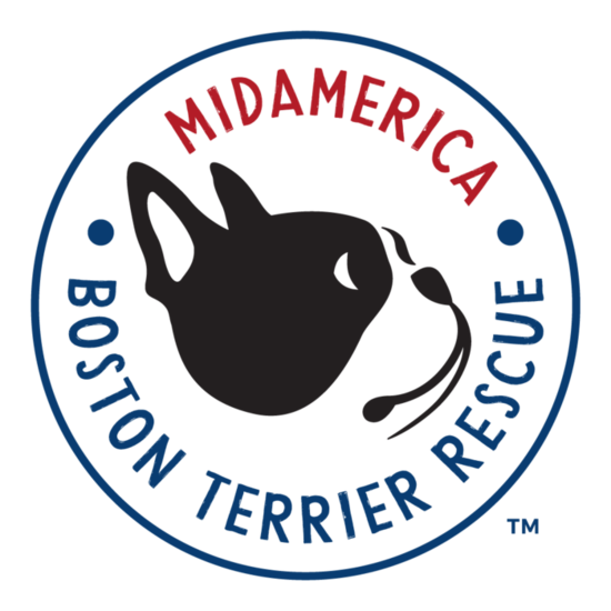 MidAmerica Boston Terrier Rescue