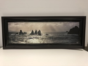 Framed Print