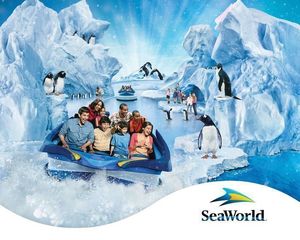 SeaWorld Orlando