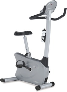 Vision Fitness E1500 Deluxe Upright Fitness Bike