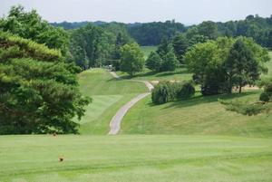 Golf Basket and NFIB one year membership