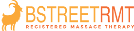 Logo new s300