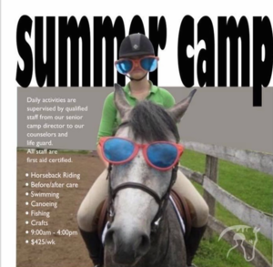 Summer camp s300