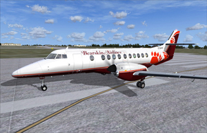 Bearkin airlines s300