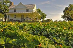 Parker Farm and Vineyard Farm Tour