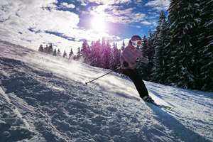 Sugarbush s300