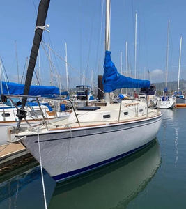 Sailing on the Bay