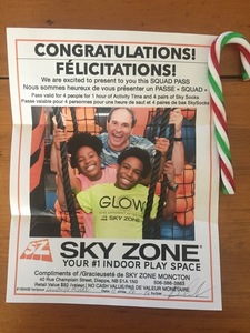 Sky Zone - Pass for 4 People for an Hour