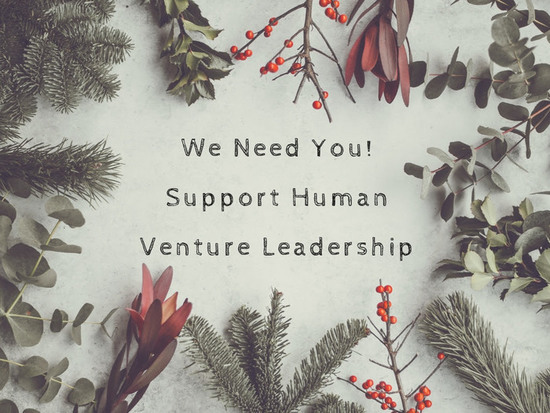 Human Venture Leadership