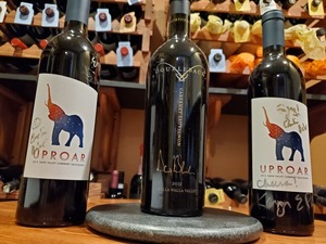 Campanini 2019 wine donation s300