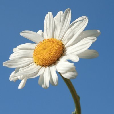 Oqmempgc 400x400 s550