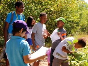 Boston Nature Center Summer Camp