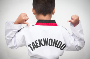 Mr.Lee Experience- Tae Kwon Do