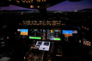 Flight Simulator Experience with United Airlines