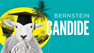 Candidebanner s300