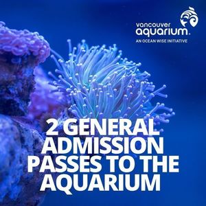 Vancouver Aquarium