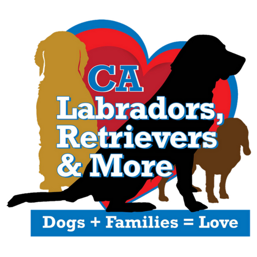 Labs and More Rescue