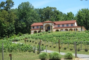 Running Hare Vineyard