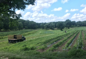 Enjoy a tour of beautiful Allandale Farm