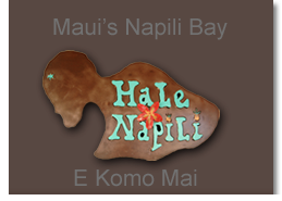 #103 Hale Napili - Jamie Lum Lung-K'eo