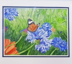 Pat kinsella watercolour s300
