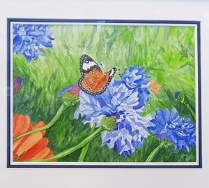 Cornflower with Butterfly Watercolour Painting