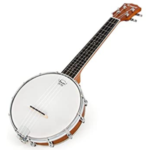 Four - 1/2 hour private banjo lessons